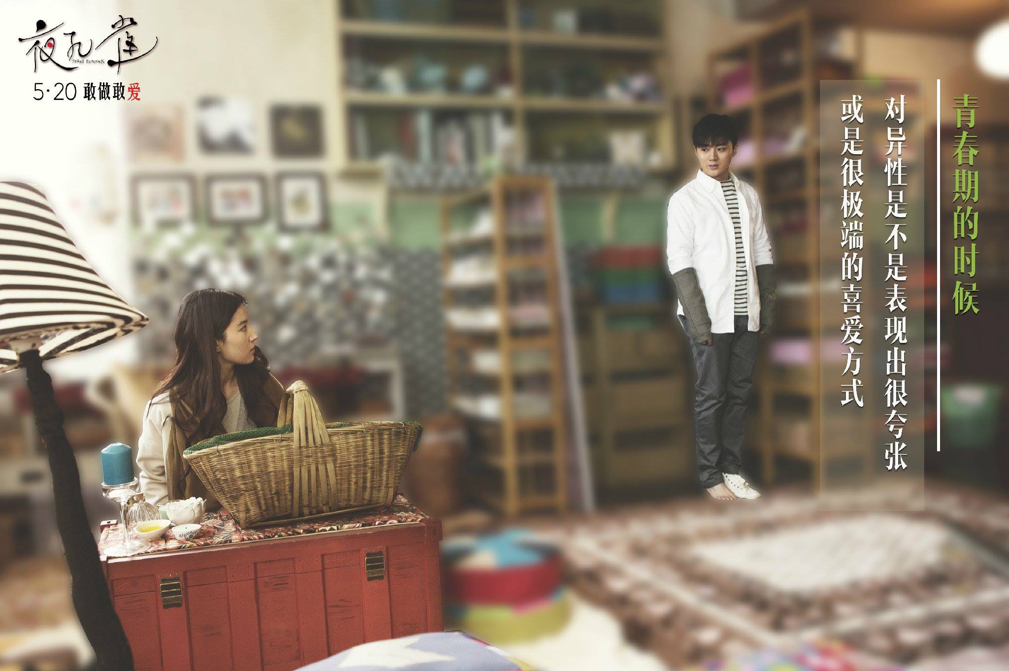 夜孔雀：电影海报剧照图集汇总