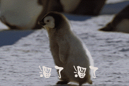 刘亦菲,你怎么又胖了?