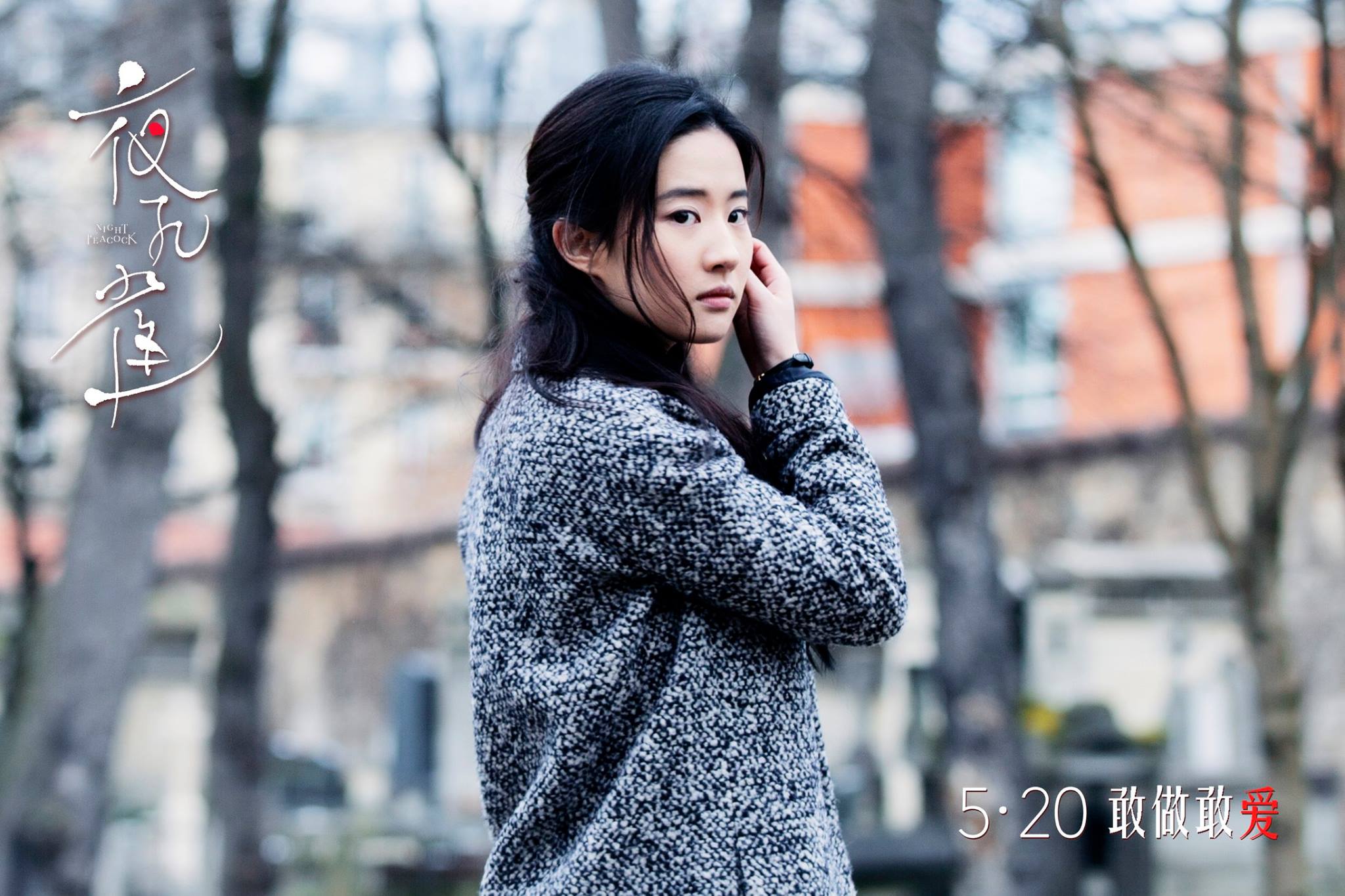 夜孔雀：电影海报剧照图集汇总