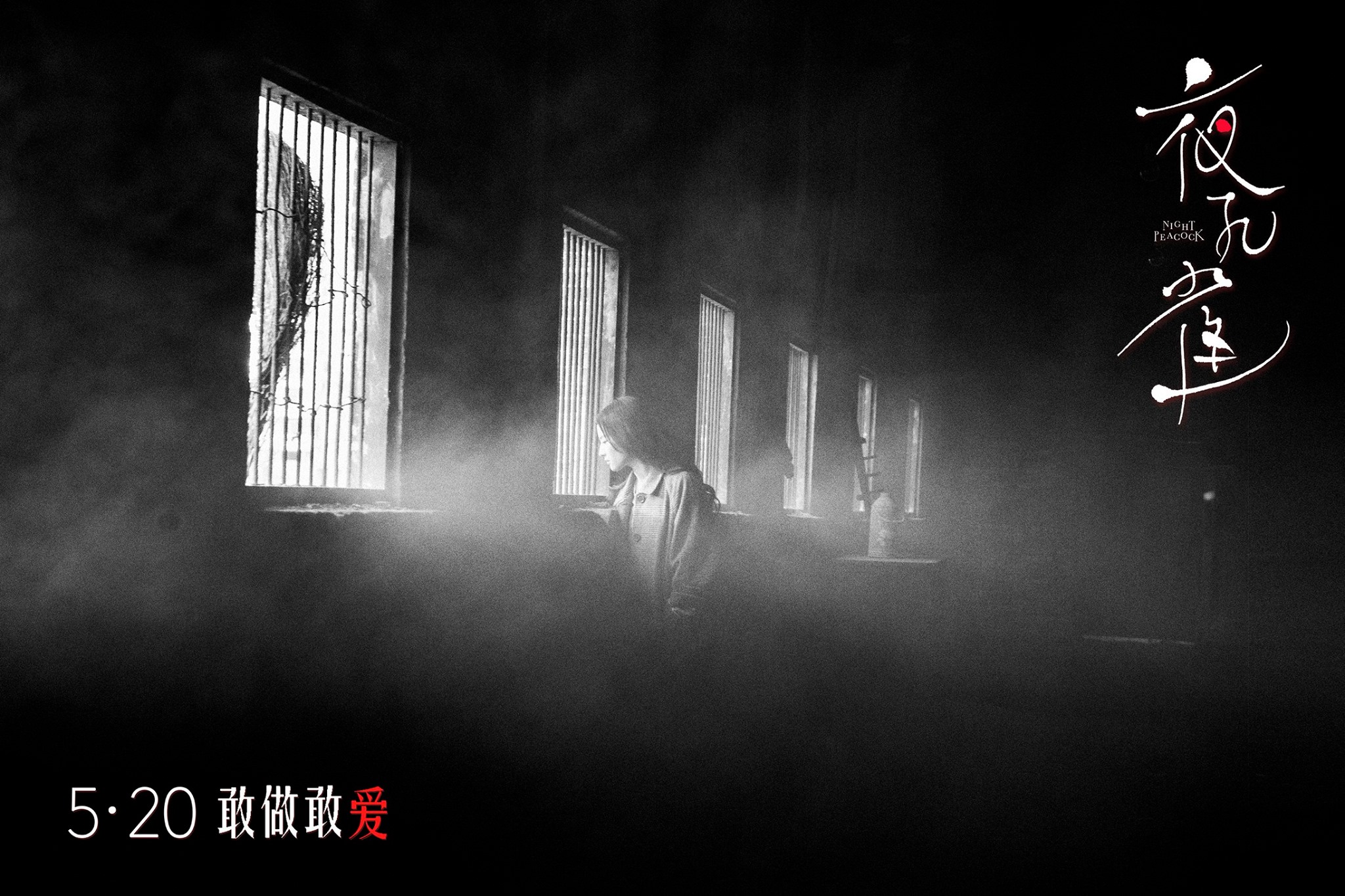 夜孔雀：电影海报剧照图集汇总