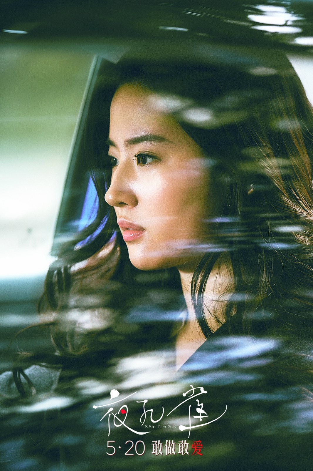 夜孔雀：电影海报剧照图集汇总