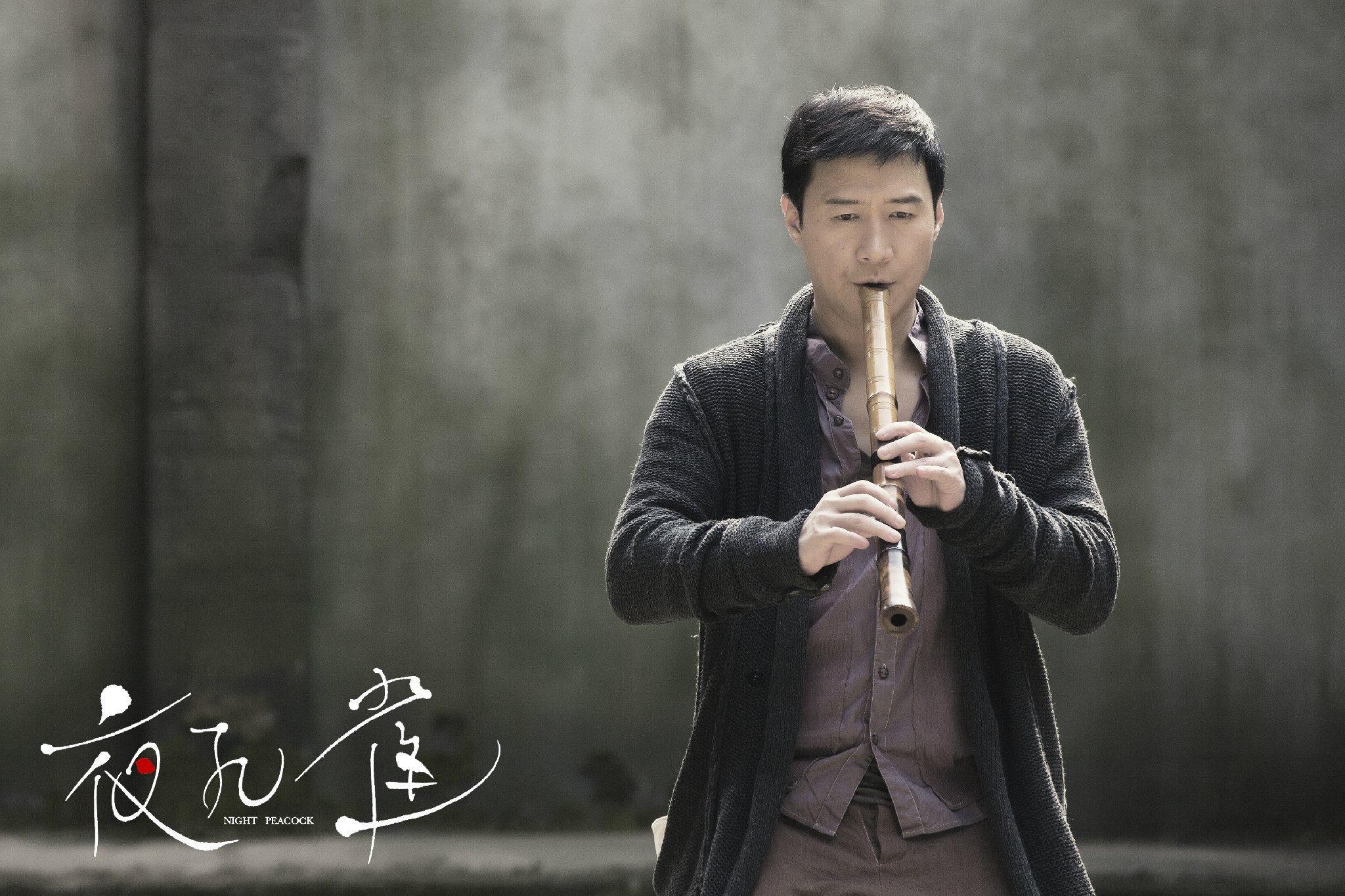 夜孔雀：电影海报剧照图集汇总